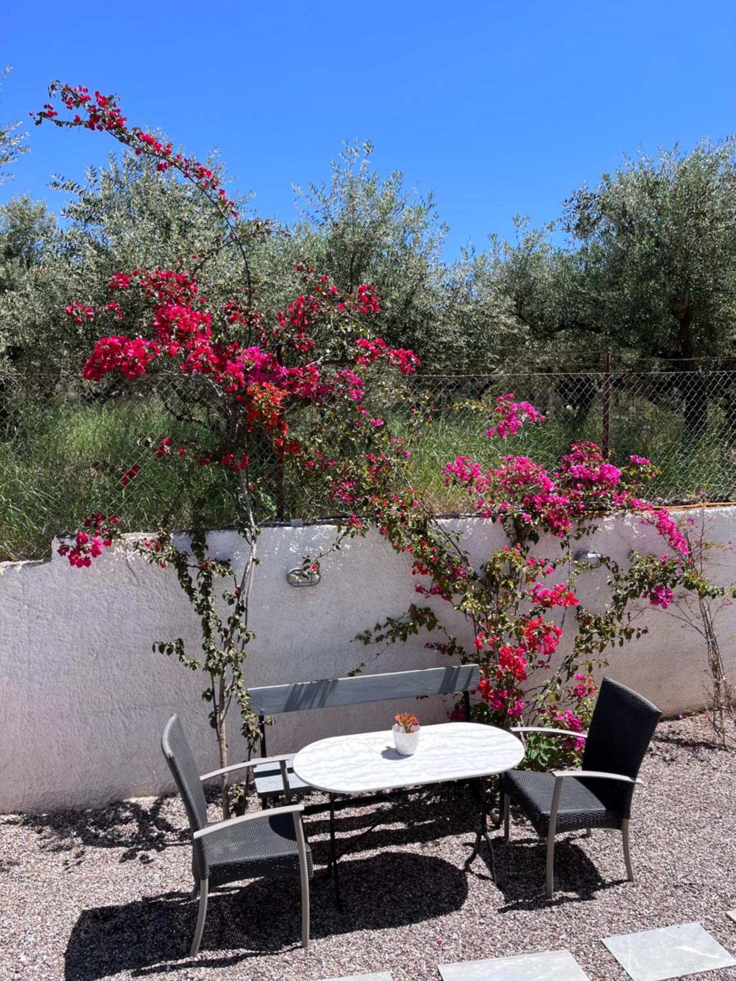 Holiday home Armonia Kalamata